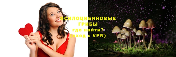 apvp Медногорск