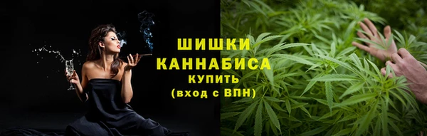 ПСИЛОЦИБИНОВЫЕ ГРИБЫ Магас