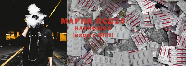 ПСИЛОЦИБИНОВЫЕ ГРИБЫ Магас